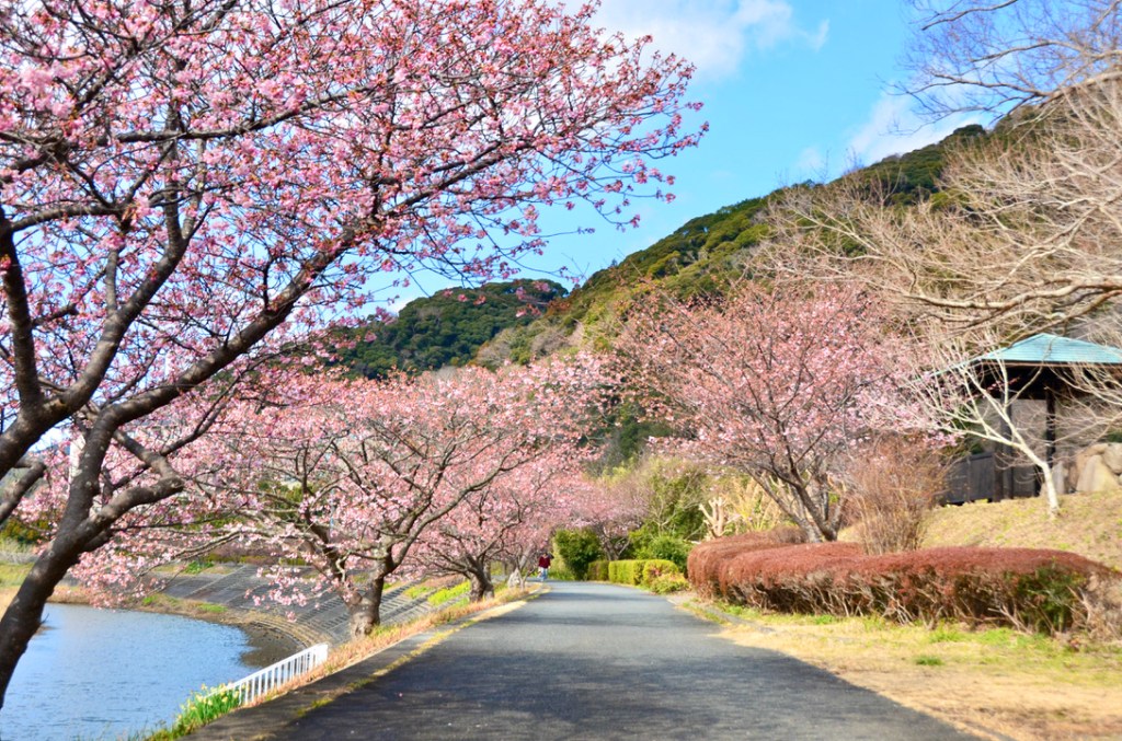 2024、1月30日撮影。